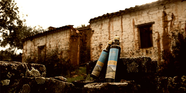 Stories from the past