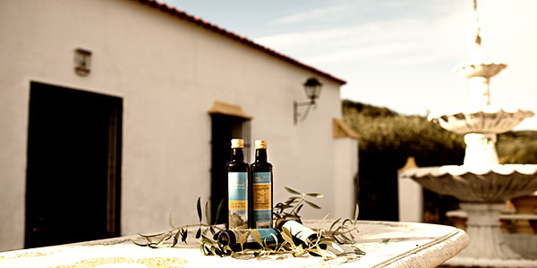 500 Year old Grand Villa